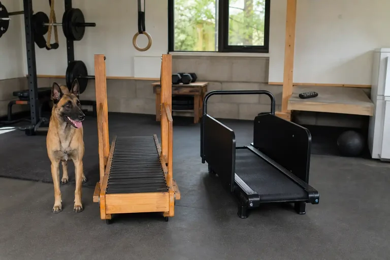 Manual vs Motorized Dog Treadmill