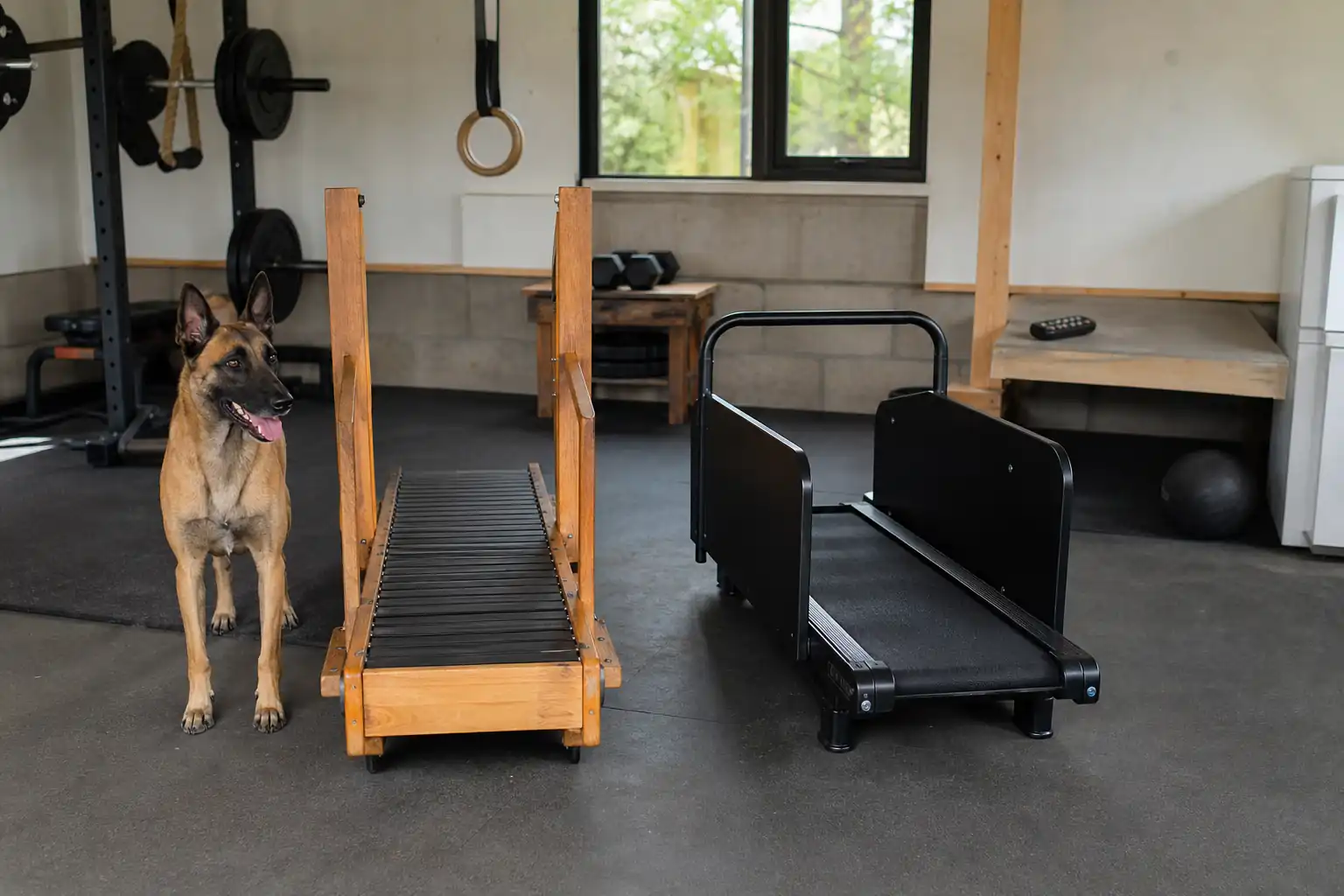 Manual vs motorized dog treadmill: two generic dog treadmills side by side in a spacious home garage gym: on the left an unpowered slatted-track dog m